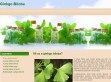 A ginkgo biloba termékek - multivitamin webshop. - http://ginkgobiloba.hu/a-ginkgo-biloba-kivonata