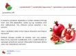 A gránátalmáról - http://granatalma.info