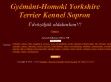 A Yorkshire Terrier - http://www.gyemanthomoki.hu
