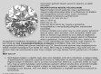 Gyémántról információ - http://www.gyemantokinfo.hu
