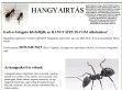Hangyairtás Budapesten - http://www.hangyairtas.com/