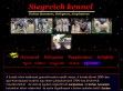 Siegreich - http://www.havanese-kennel.com