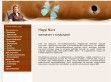 Vezetési tanácsadás - Hegyi Nóra - http://hegyinora.hu/hu/egyeni-coaching