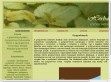 Méregtelenítés, vértisztítás - http://herbarium.uphero.com/vertisztitas.html