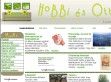 Hobbi és otthon - http://www.hobbiesotthon.hu/