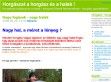 Horgász blog - http://horgasz.blog.hu