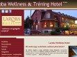 Balatoni wellness hotel - http://www.hotellaroba.hu/_bemutatkozas