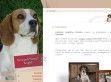Határszéli-Huncut beagle Kennel - http://huncutok.hu/