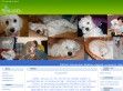 Jinny - http://www.jinny.gportal.hu/