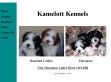 Kamelott - http://www.kamelottkennels.com/