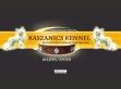FUNDOKLIA-VÖLGYI KASZANICS KÍNAI KUTYA KENNEL - http://www.kaszanicskennel.hu/