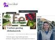 Étrendkiegészítők és vitaminok - http://www.kaszasildiko.com/category/egeszseges-etrend/