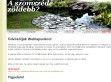 Egyetemisták Kertet Építenek - http://www.kertideal.hu