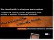 Öntvény ajtók gyártása, kandallóhoz, cserépkályhához, kemencéhez - http://www.kisskandallo.hu