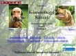 Kőmosóhegyi kennel - http://komosohegyi.extra.hu/