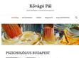 Budai pszichológus - Kővágó Pál - http://kovagopal.hu