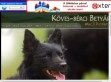 Köves-bérci Betyár Mudi Kennel - http://kovesbercibetyar.hu