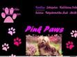 Pink Paws Kutyakozmetika Káposztásmegyer - http://kutyakozmi.ewk.hu