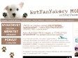 kutyanyakörv készítés | www.kutyanyakorv.com - http://www.kutyanyakorv.com/