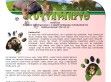 Hotel Vau - http://www.kutyapanzio.com/