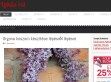 Függöny webáruházak - http://www.lakas1x1.hu/vasarlas/76-fueggoeny-webaruhazak
