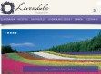 Levendula magazin - http://levendulamagazin.hu/