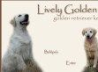Lively Golden kennel - http://livelygolden.hu