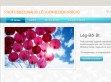 Léggömb dekoráció Lég-Ből  - http://lufidekor.weebly.com/