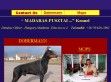 Madaras-Pusztai - http://www.madaraspusztai.uw.hu
