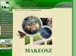 Magyar Kertépítő és Fenntartó Vállalkozók Országos Szövetsége - http://www.makeosz.hu