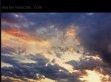 muscalu - http://www.mariusmuscalu.com/