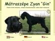 Mátraszépe Zyan - http://www.matraszepezyan.hu/