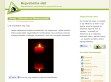Önmegvalósítás - http://megvalositas.blog.hu/