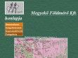 megyeko - http://megyeko.hu