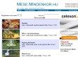 Mese.Mindenkor.hu - az online meseportál! - http://mese.mindenkor.hu/