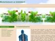 Mesterbalzsam online rendeléssel a multivitamin webáruházból. - http://mesterbalzsam.com/mentol-hatasa-a-mesterbalzsamban