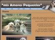 mis Amores Pequenios - http://www.misamorespequenios.be