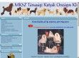 MKSZ Társasági Kutyák Országos Klubja - http://mksztkok.gportal.hu/