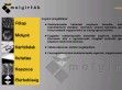 Molyirtás - http://www.molyirtok.hu