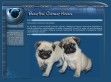 Beautiful Clement Kennel - http://www.mops.extra.hu
