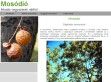 Mosódió webáruház - http://mosodio.repeta.hu/