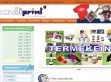 multiprint - http://multiprint.hu