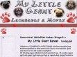 My Little Giant Leonbergi & Mopsz kennel - http://mylittlegiant.extra.hu/