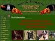 Kínai meztelen kutya kennel-Chinese crested dog kennel - http://www.mysticfantastic.hu