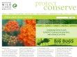 The New England Wild Flower Society - http://www.newfs.org/