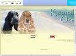 Kephallénia Oceanus angol cocker spániel kennel - http://www.oceanuskennel.atw.hu