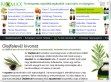 Olajfalevél kivonat gyerekeknek - http://olajfalevel.biomax.hu/