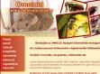 Bolhairtó gyorsszolgálat - http://www.omnicid.hu/bolhairtas