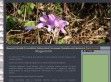 Optomed Kft. - Szemészet, Optika, Arcszépészet - http://www.optomed.hu