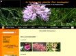 Orchídea Ház - http://www.orchideahaz.hu/